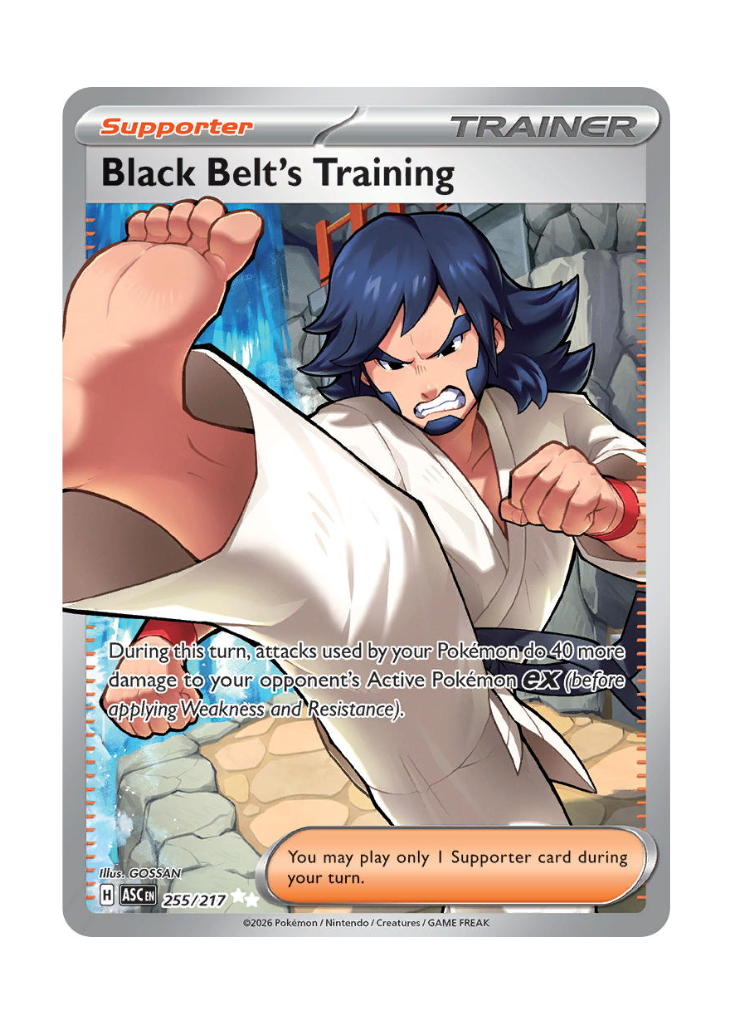 Ascended Heroes: Black Belt's Training Full Art - 255/217