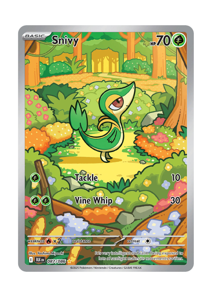Black Bolt: Snivy Illustration Rare - 087/086