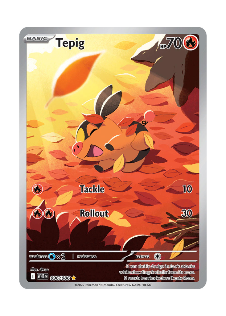 White Flare: Tepig Illustration Rare - 096/086