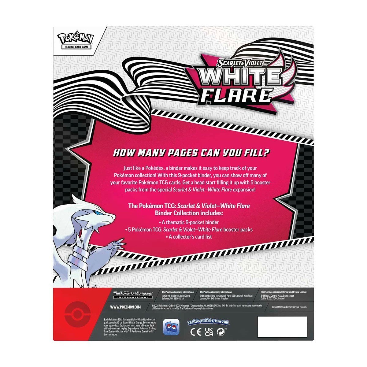 White Flare - Binder Collection